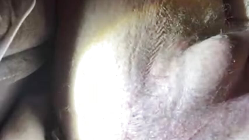 78343682656__E5FF596F-983B-41AE-A0A7-851C793BDC7E - video by randomnessgas cam model