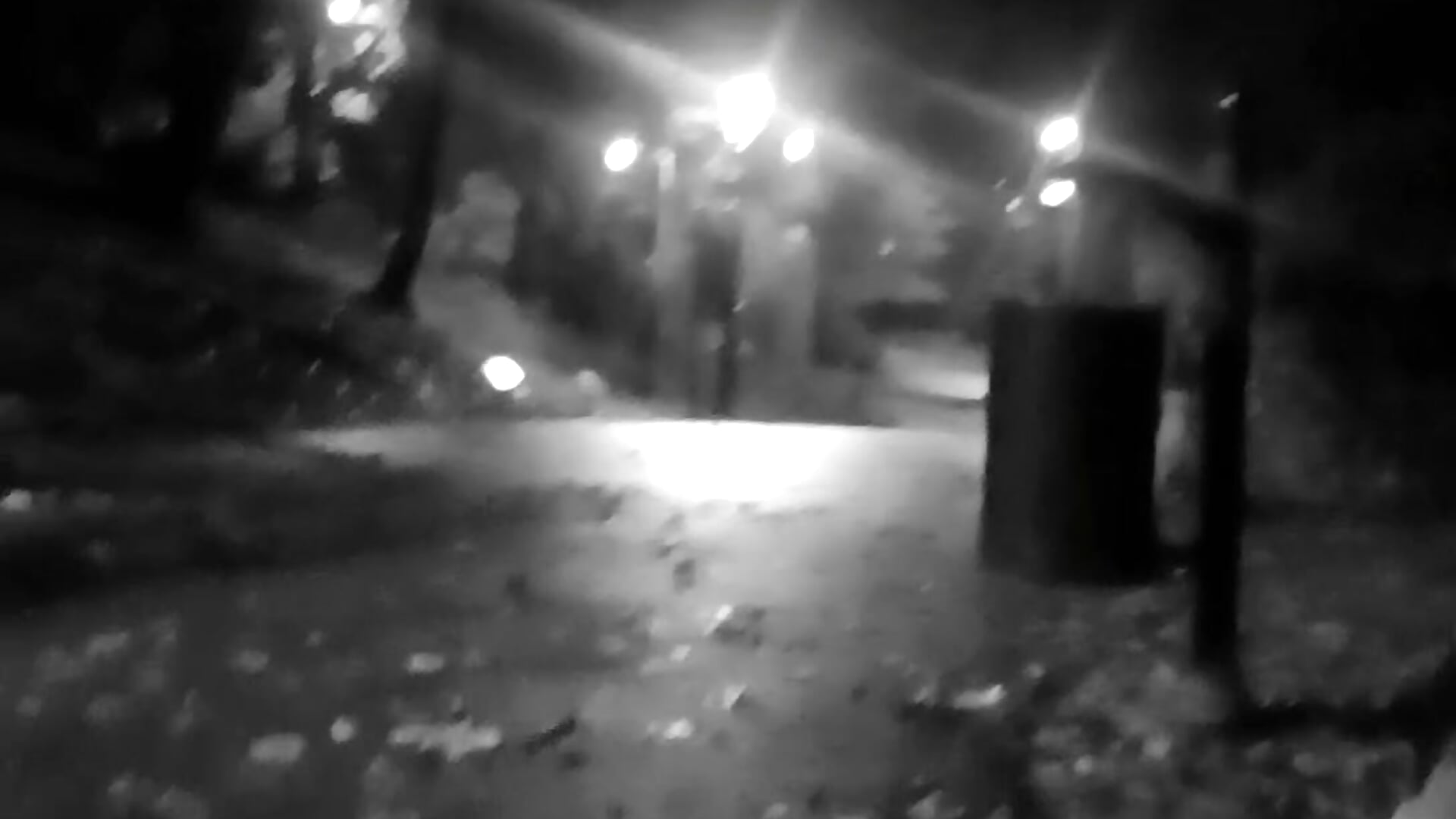 Park - video by Barber33zk cam model