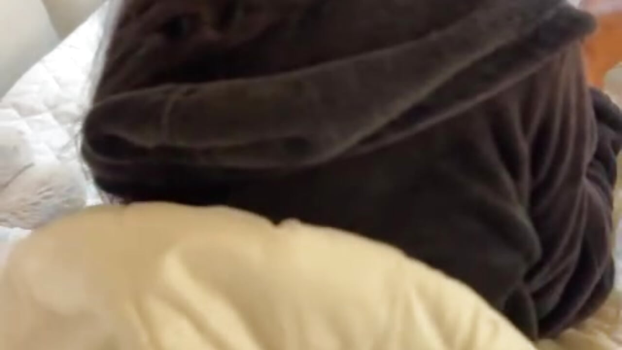 📚🥵MY BODY? YOUR FAV NOVEL - video by TiffValentinee_ cam model