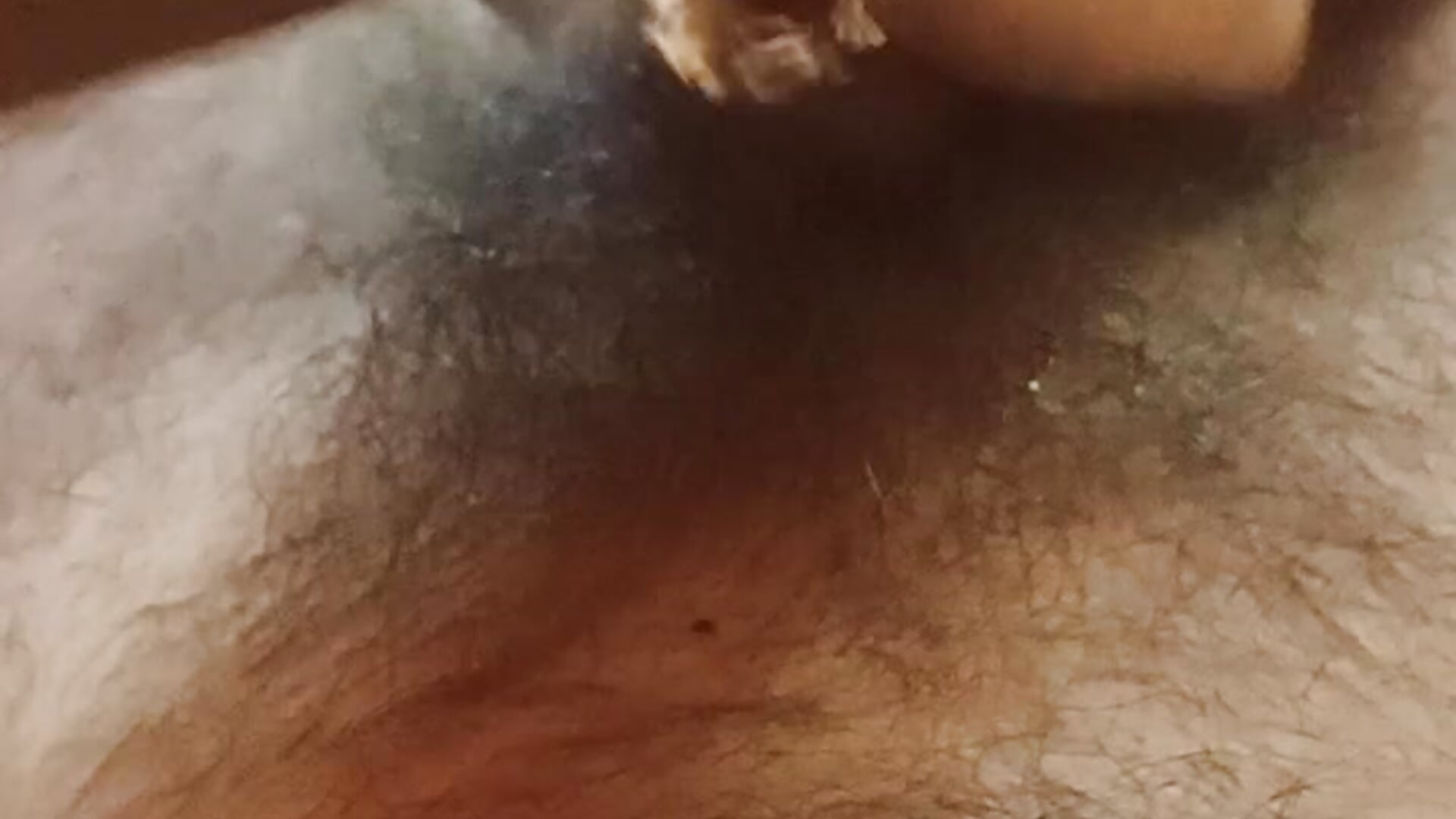 VID20250509032607 - video by giganticpie_indian cam model