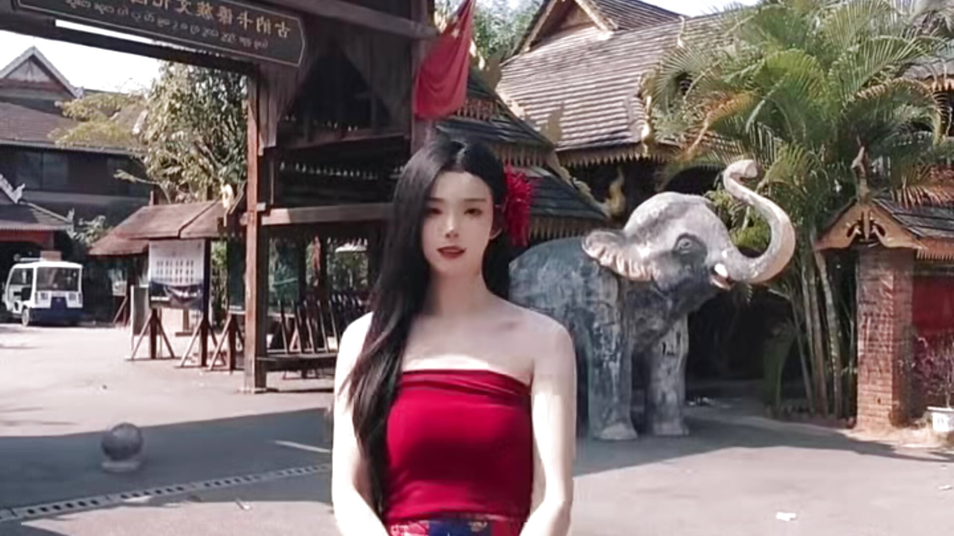 圆圆 - video by TNT-Sister cam model