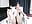 今晚我是你的秘书susu - video oleh Candice-99