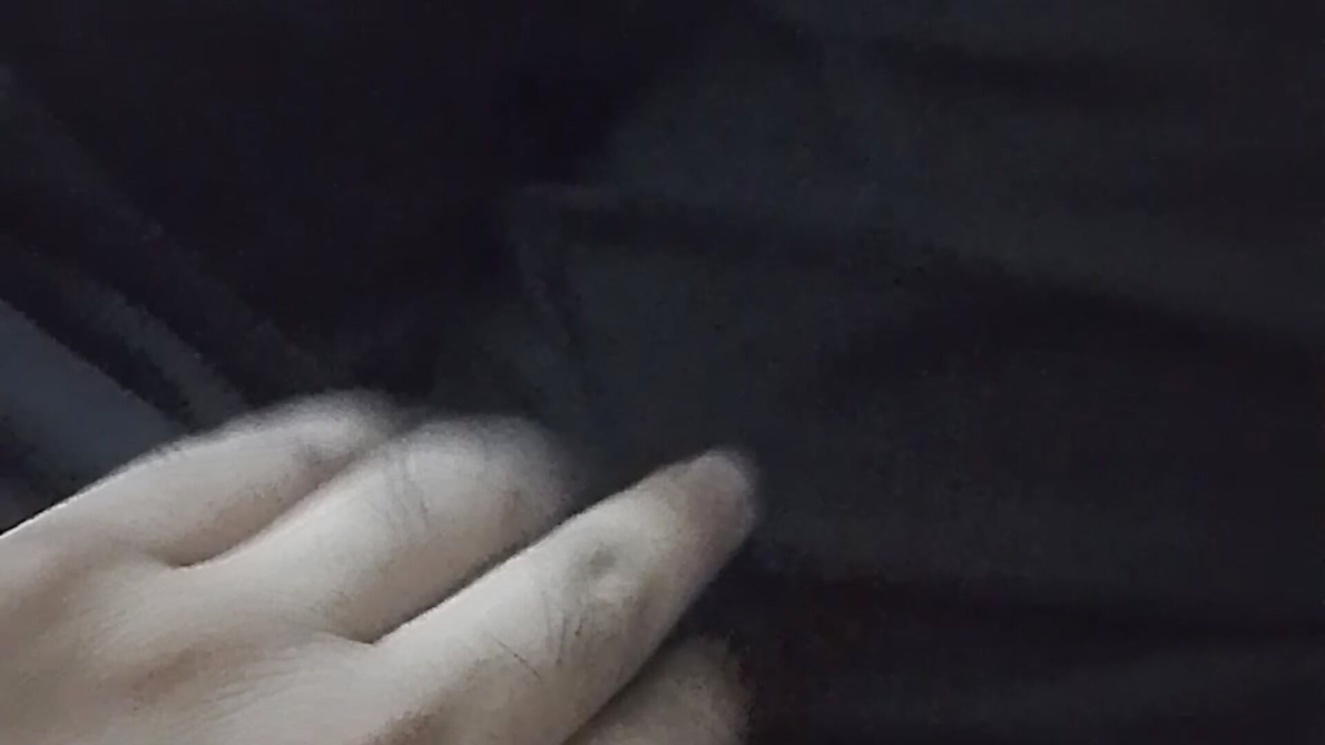 1000482282