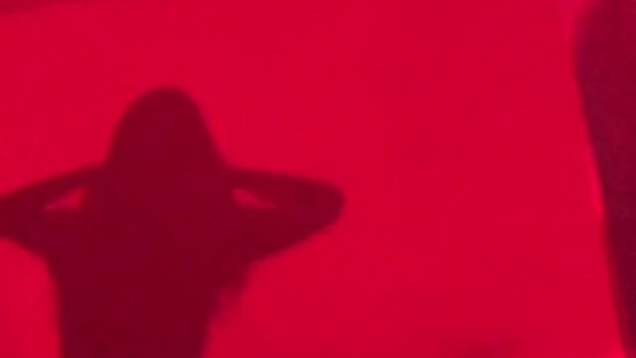 🔋❤️ - video by CarolinaGilbert cam model