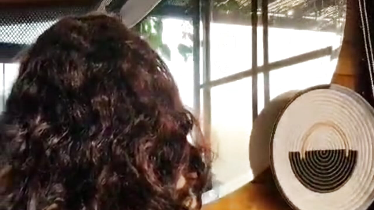 Giselle 💋 - video by giselle_upp cam model