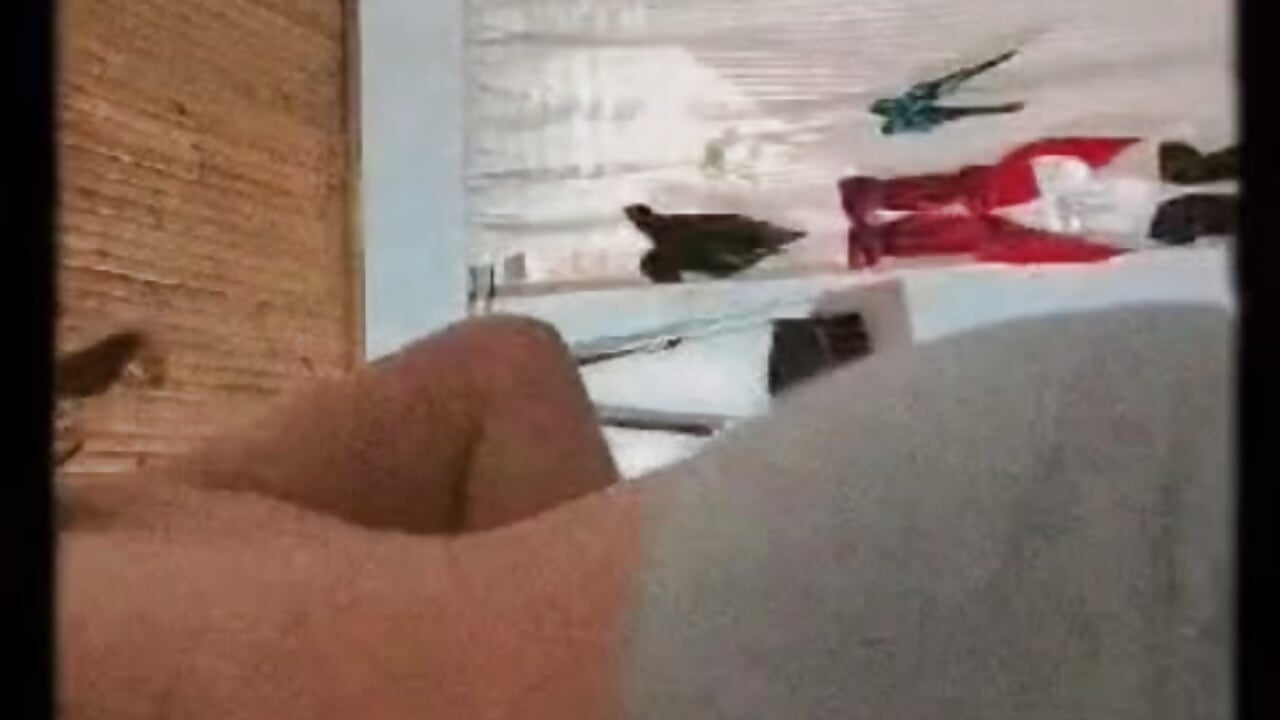 Dancing with you is like brushing up against desire without fully touching it - video by Larissa_Antonella cam model