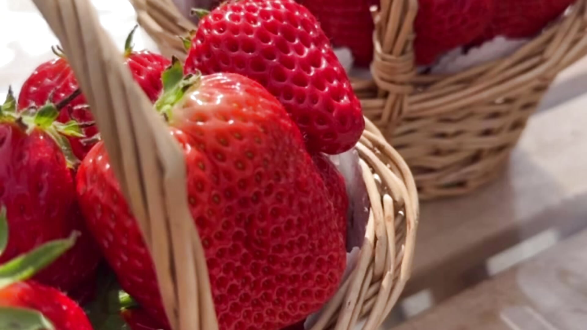 604263285332377686 - 視頻由 OSUSHI-CHAN 主播提供