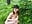 “Naked Exhibitionist in the Woods — I Think They Saw Me - IconaDidi 的视频