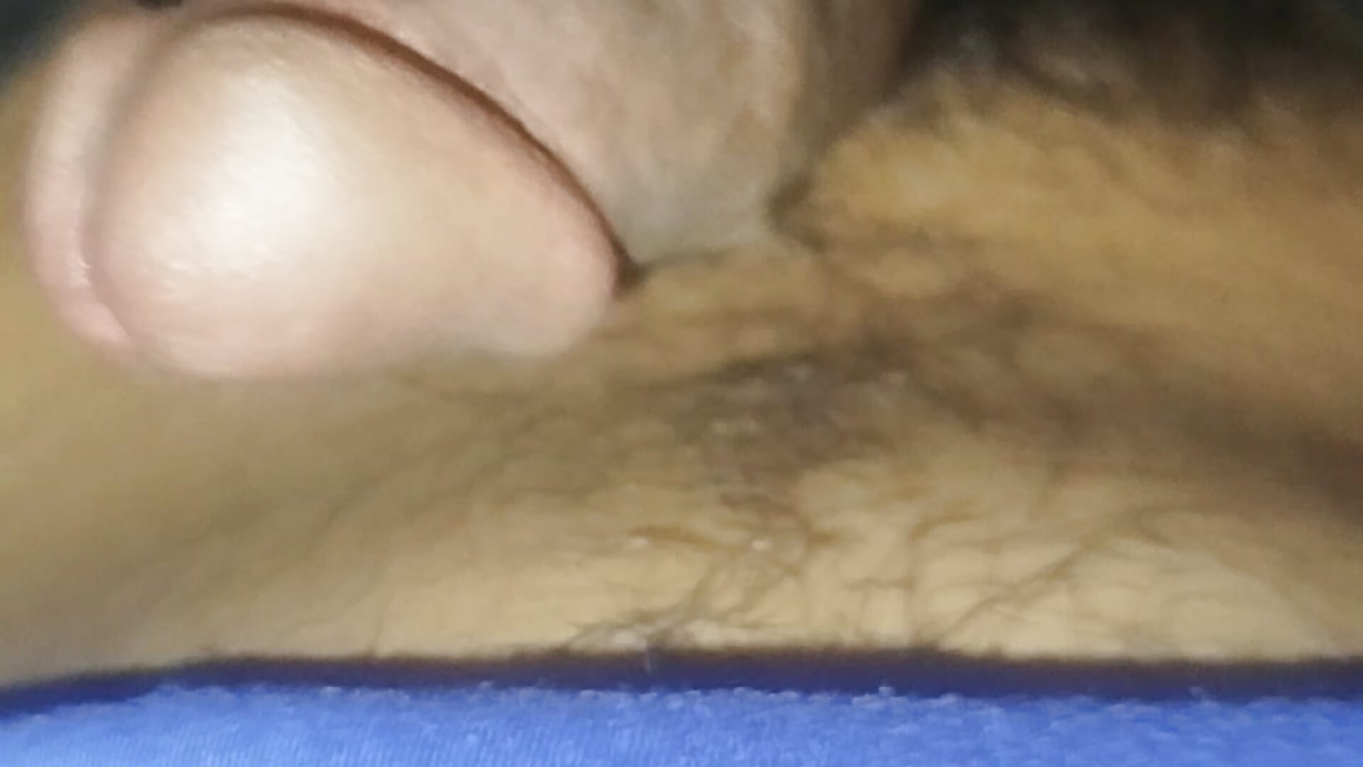 1000085406 - video by Faisl19 cam model