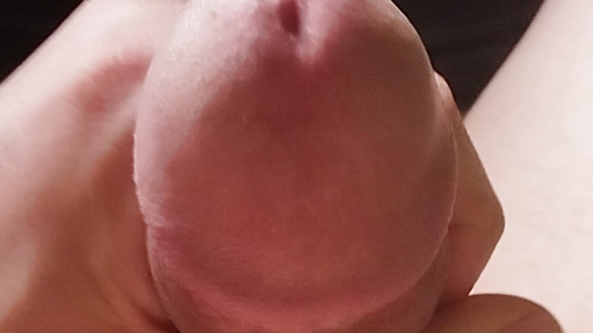 MY DICK - vidéo du modèle de showcams Nickk_Wolf