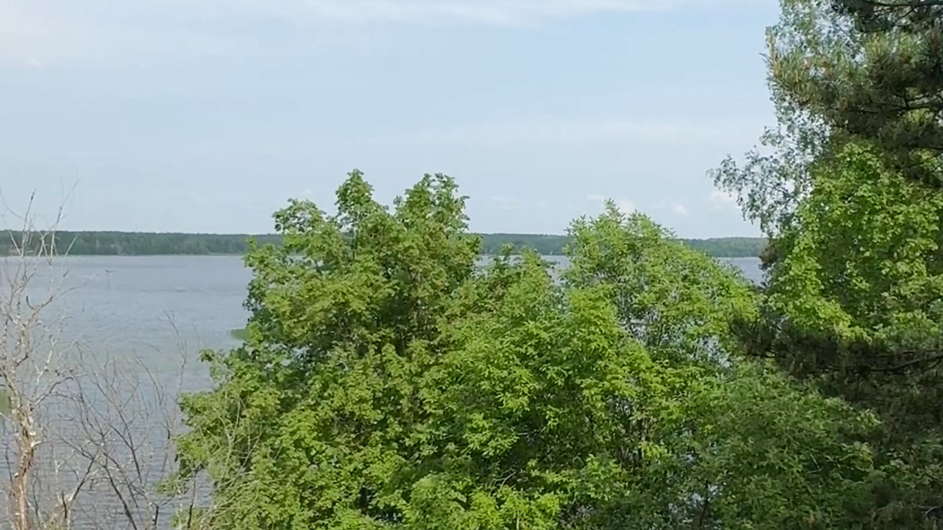 i love summer😭😭😭 - відео від вебкаммоделі AlexFH