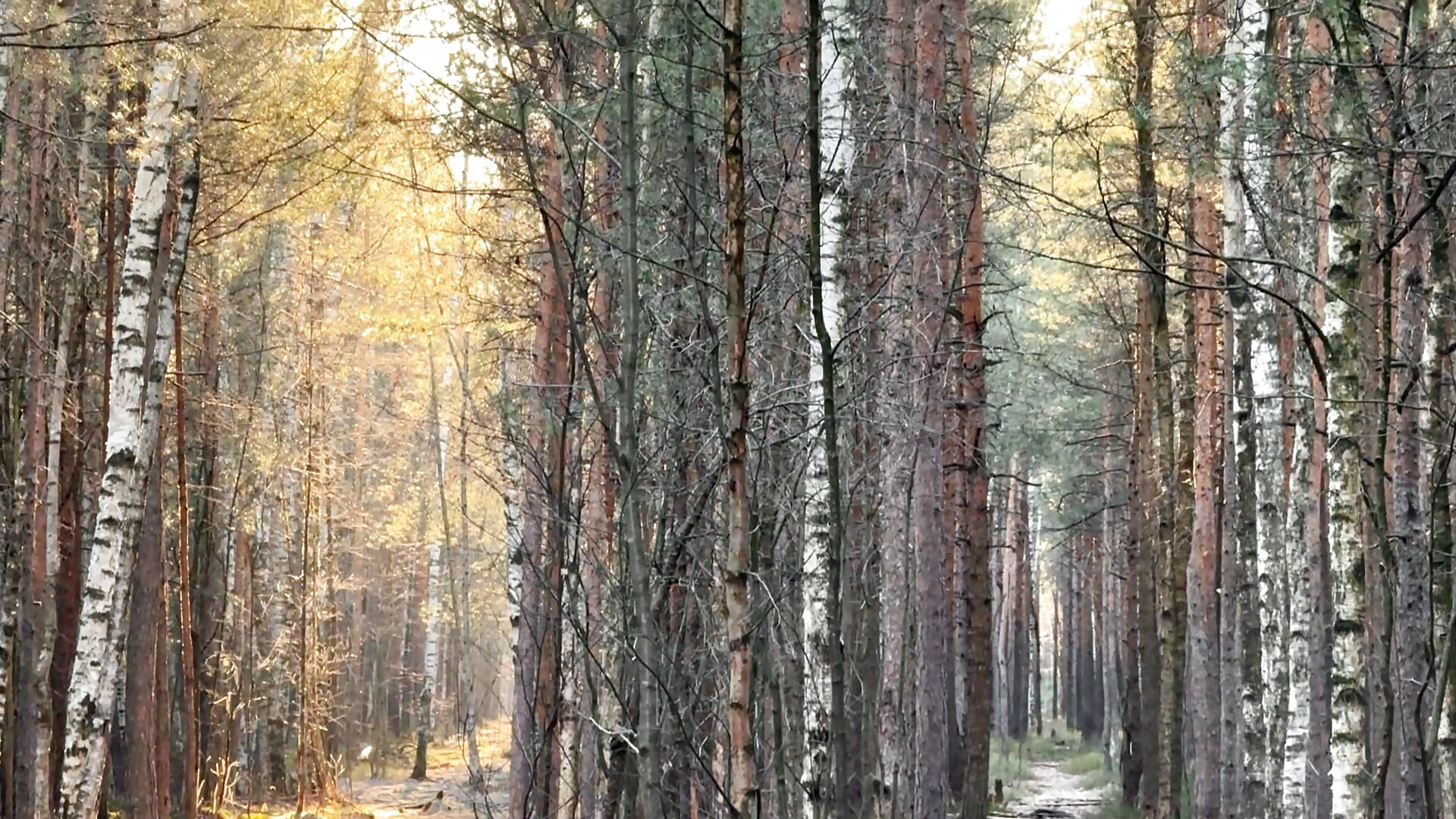 This feels so much better than studying or working… - فيديو من AlexFH موديل الكام