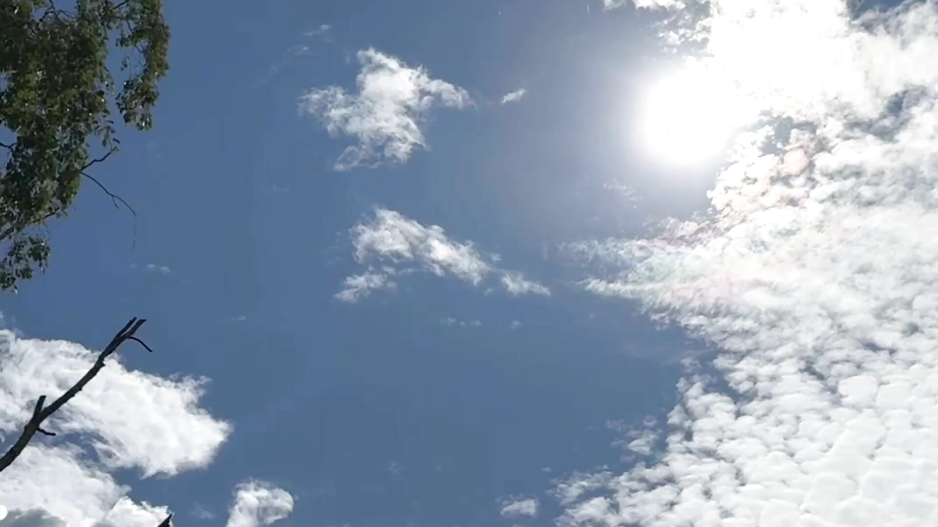 and how to live in a gray winter after that... - відео від вебкаммоделі AlexFH