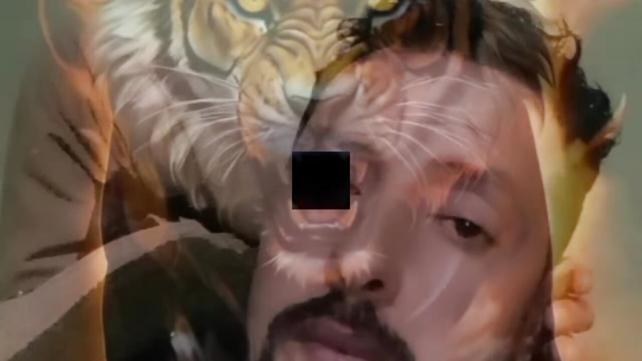 Zepy24c