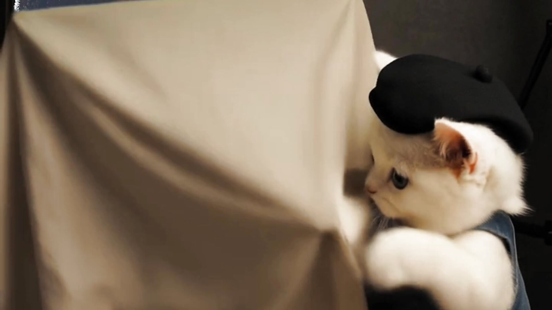 Guess Who? 👀 – video od webkamerové modelky Eveline_Beauty_Kitty