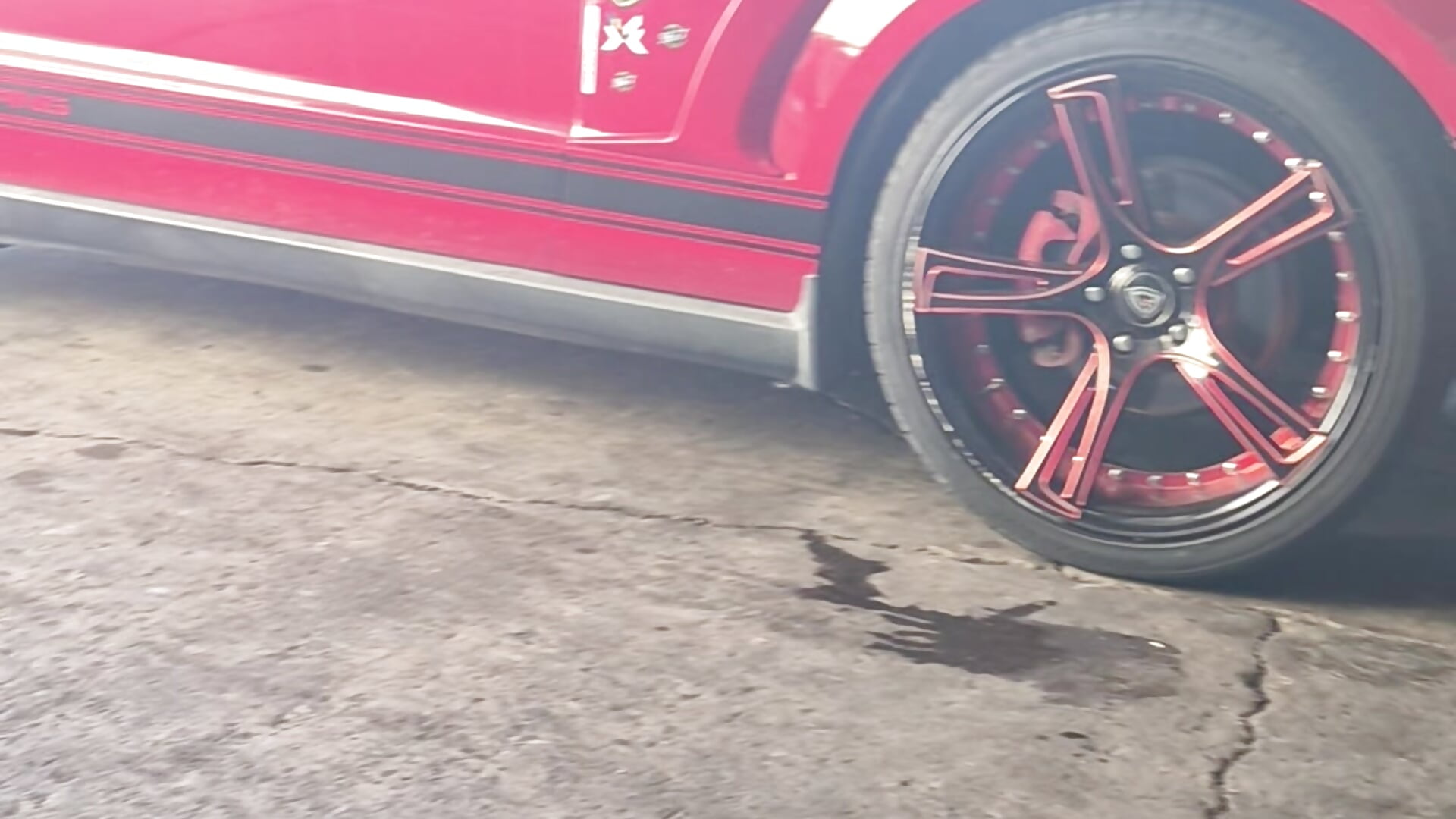 Mus - video by uratre cam model