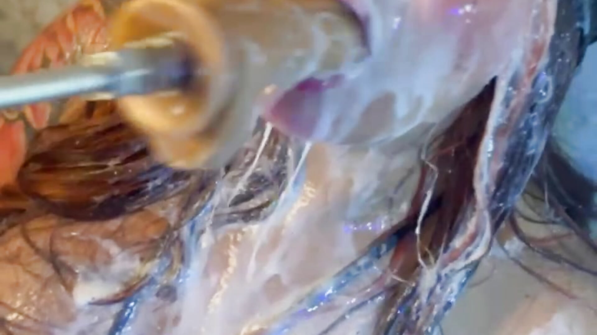 Look at your whore full of your milk - video by Sammy_charlot cam model