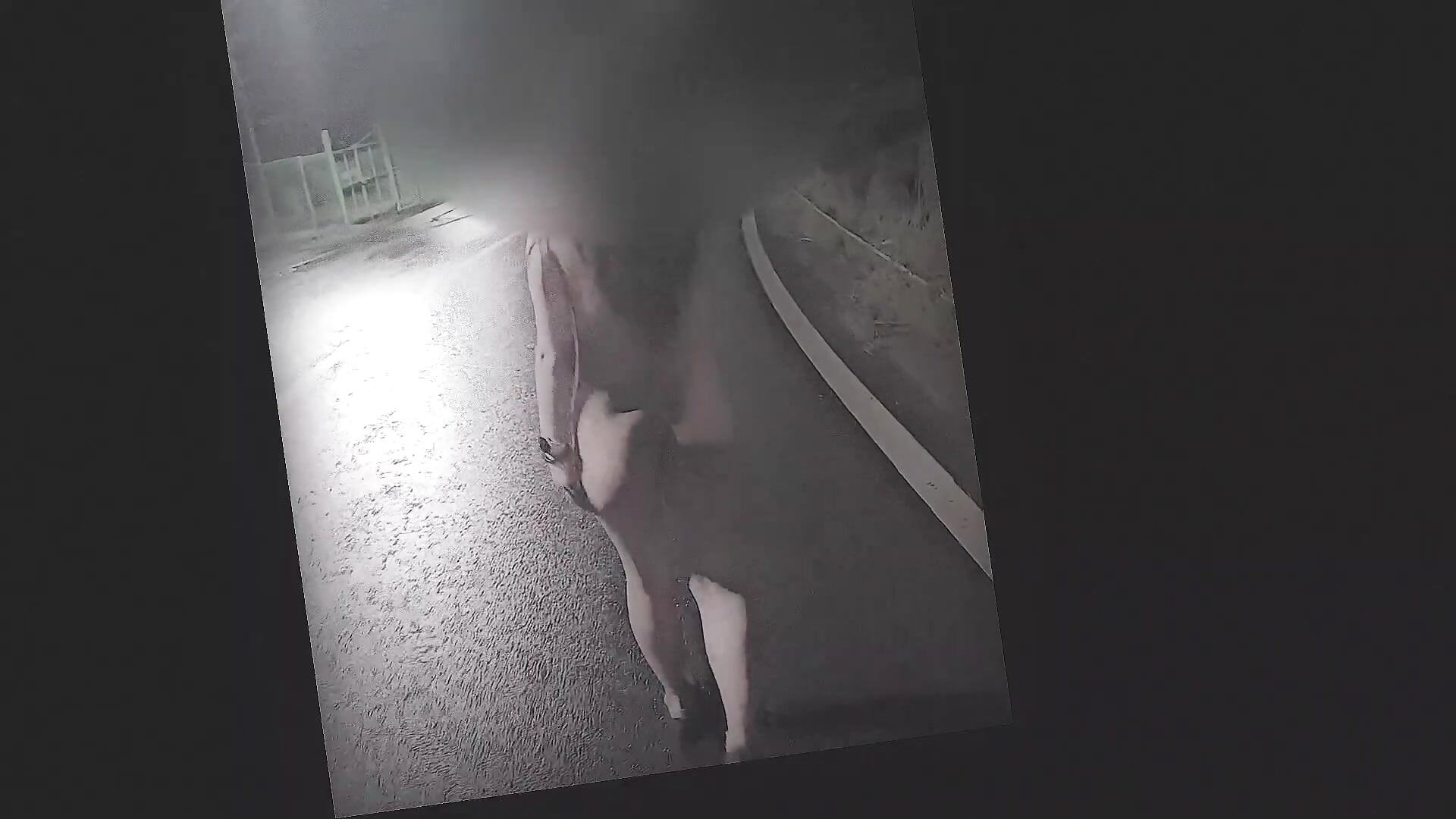 야외노출01 - video by honeybeeco cam model