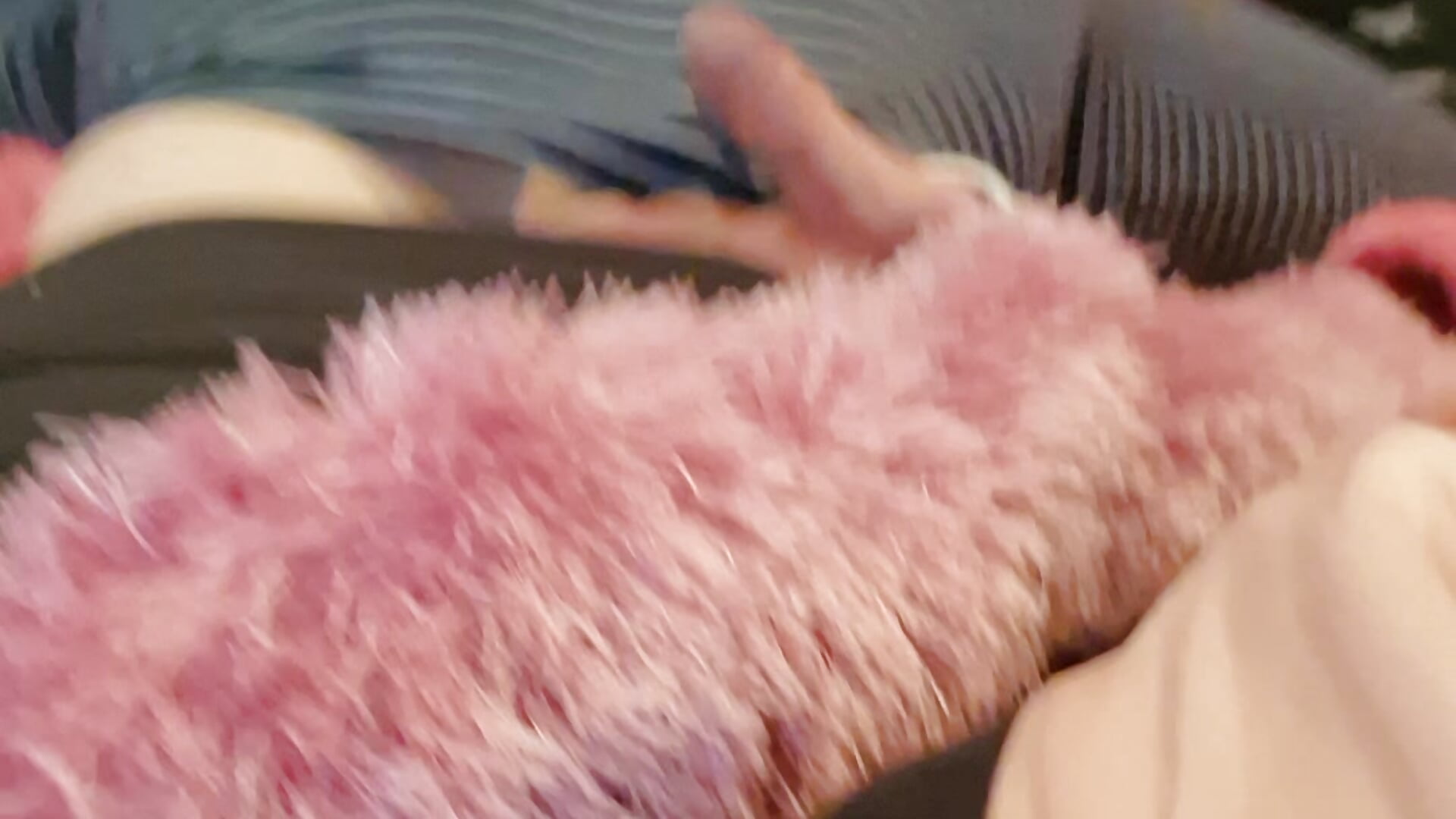 Mega Feucht auf meinen Daddy🥰❤️ – video af Tilli__2