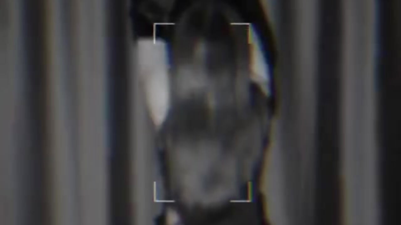 about love－カメラキャストのKatushhhの動画