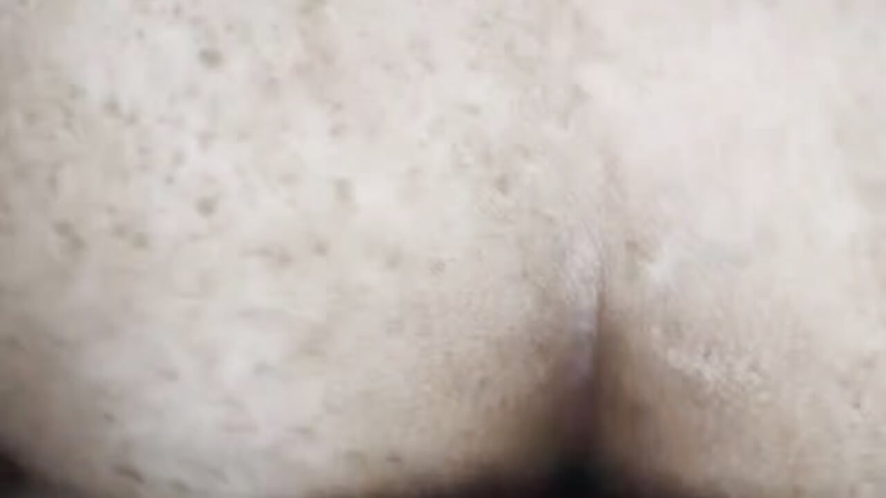 1000203025 — filmik Ninasafada, modela(-lki) na kamerkach