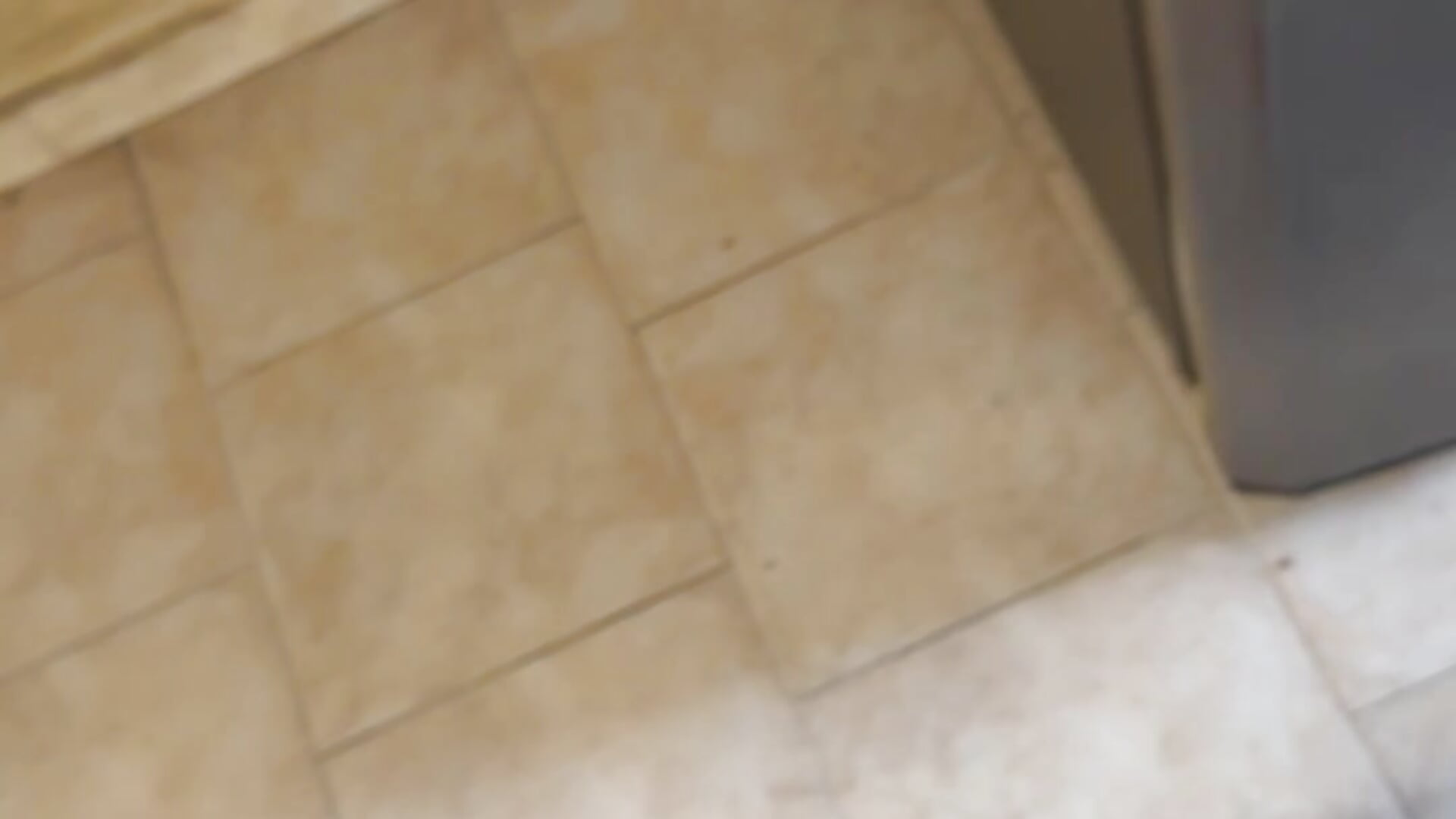 Open your mouth - βίντεο μοντέλου sajor9