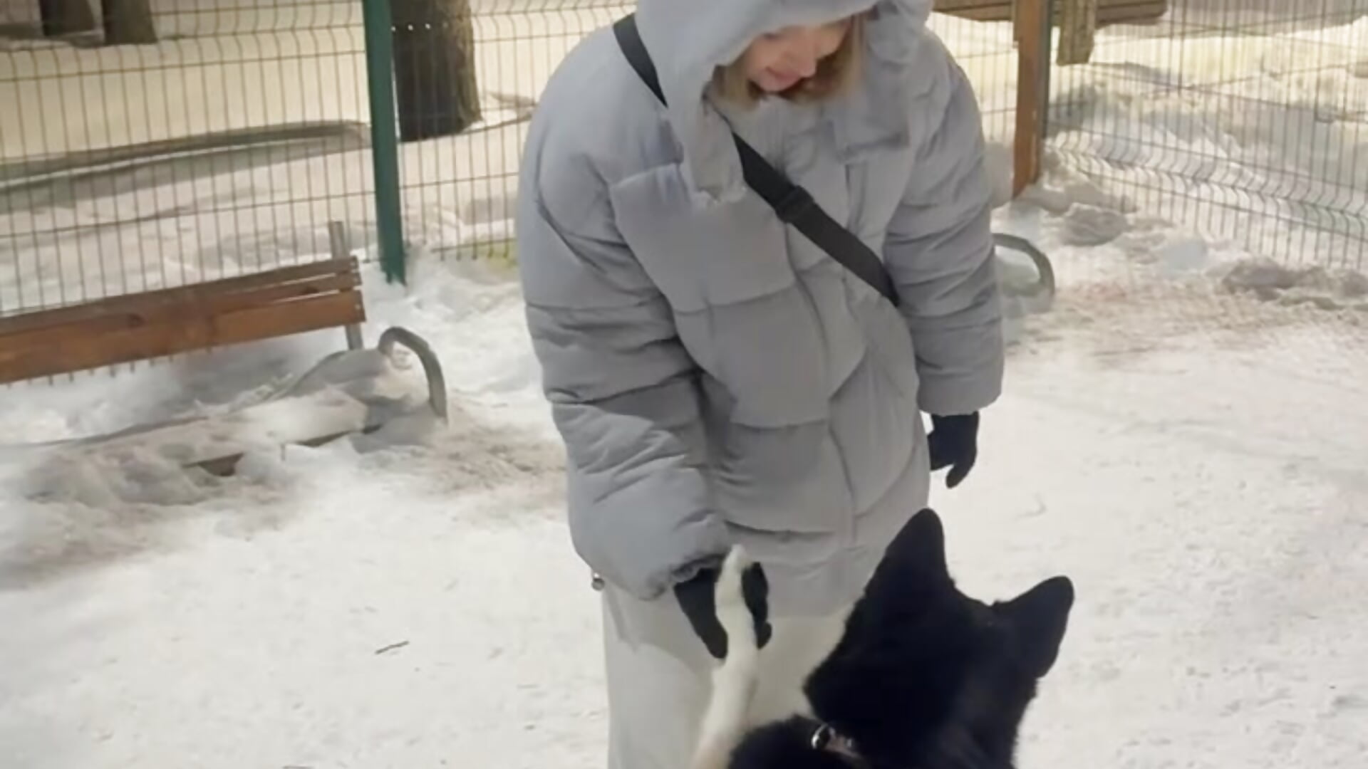 My baby 🐶💖 - βίντεο μοντέλου NancySmitts