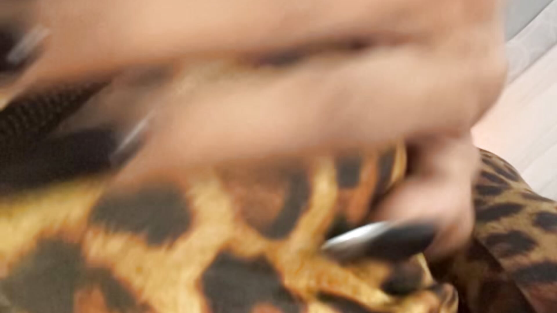 84B651C6-C189-42A8-B587-93A26E31B0A9 - video oleh anitacruise kamera model