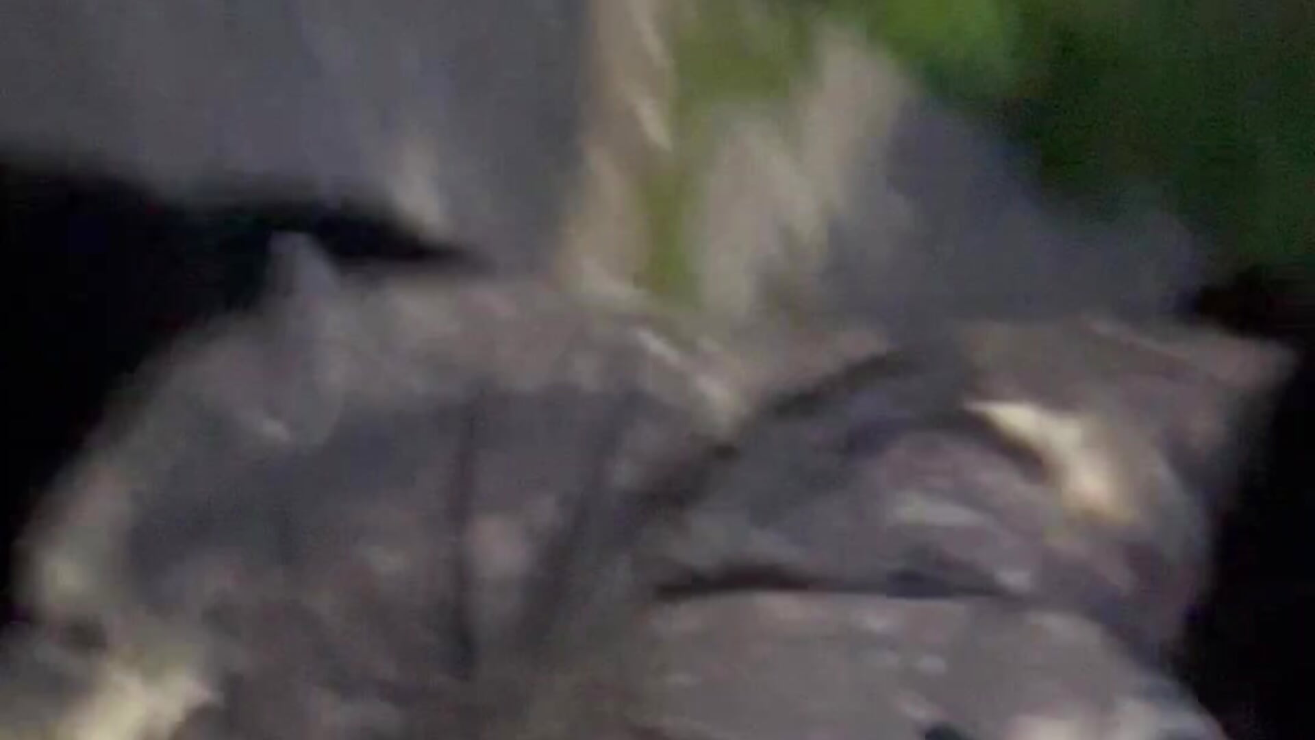 IMG_1354 - video by leakysushicat cam model