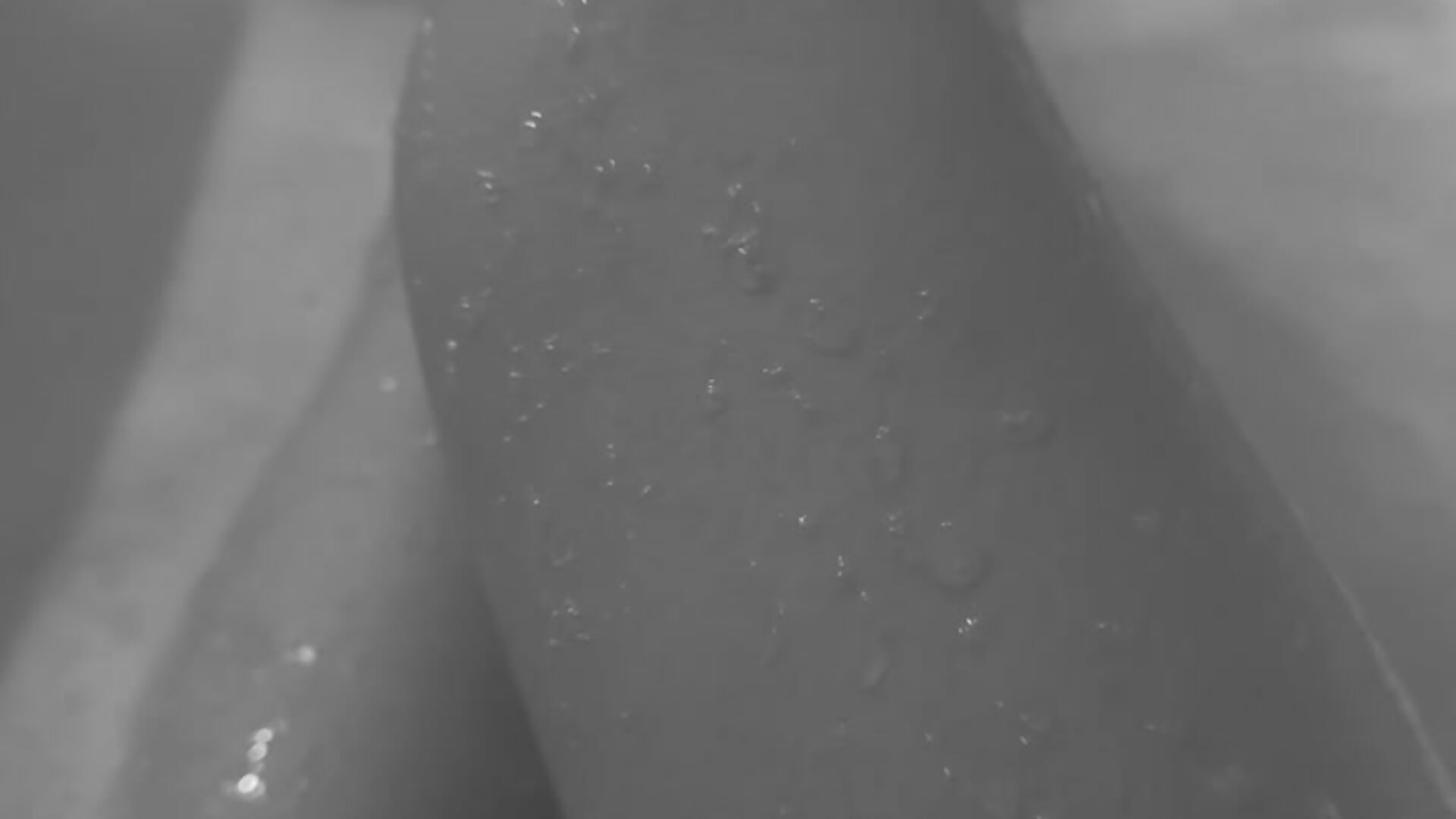 💦💦💦 - βίντεο μοντέλου AlleRose