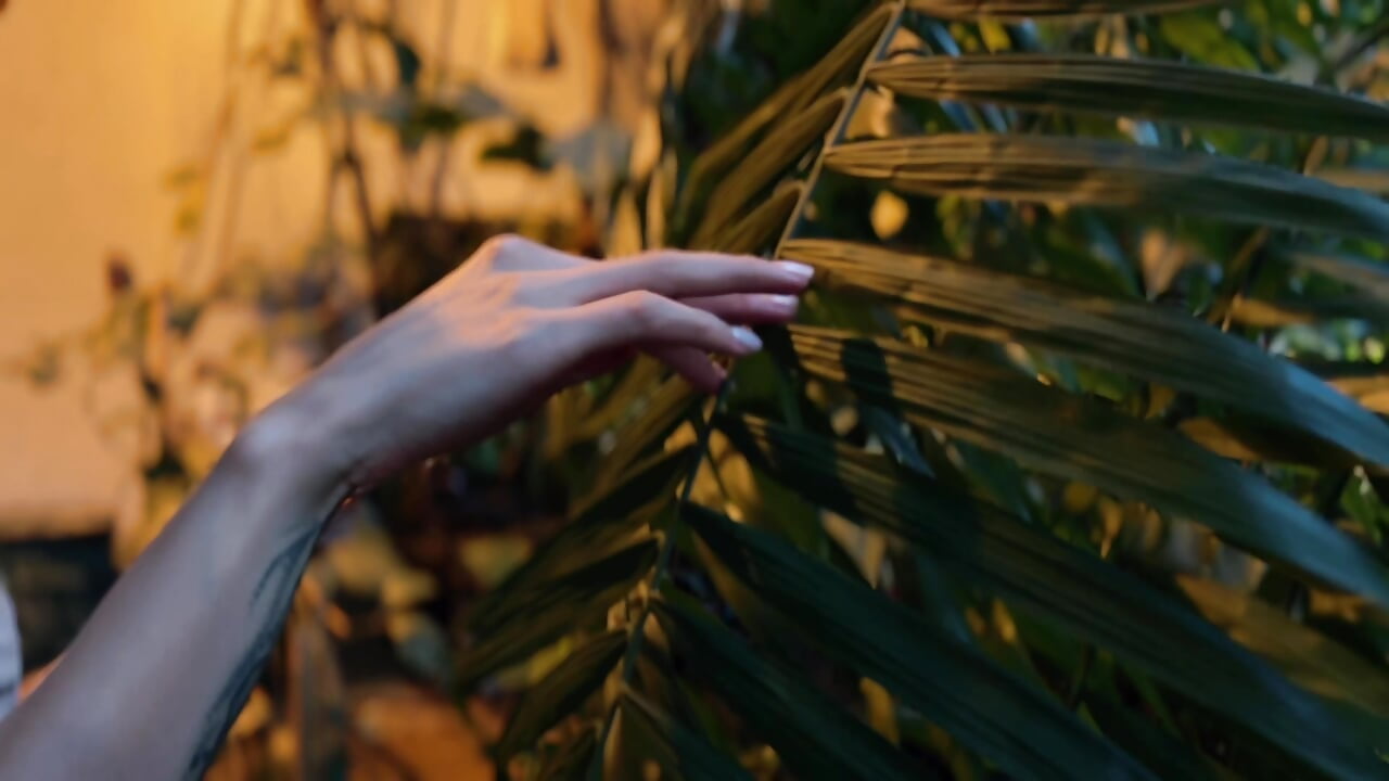 intro - video by RosieBlossom cam model