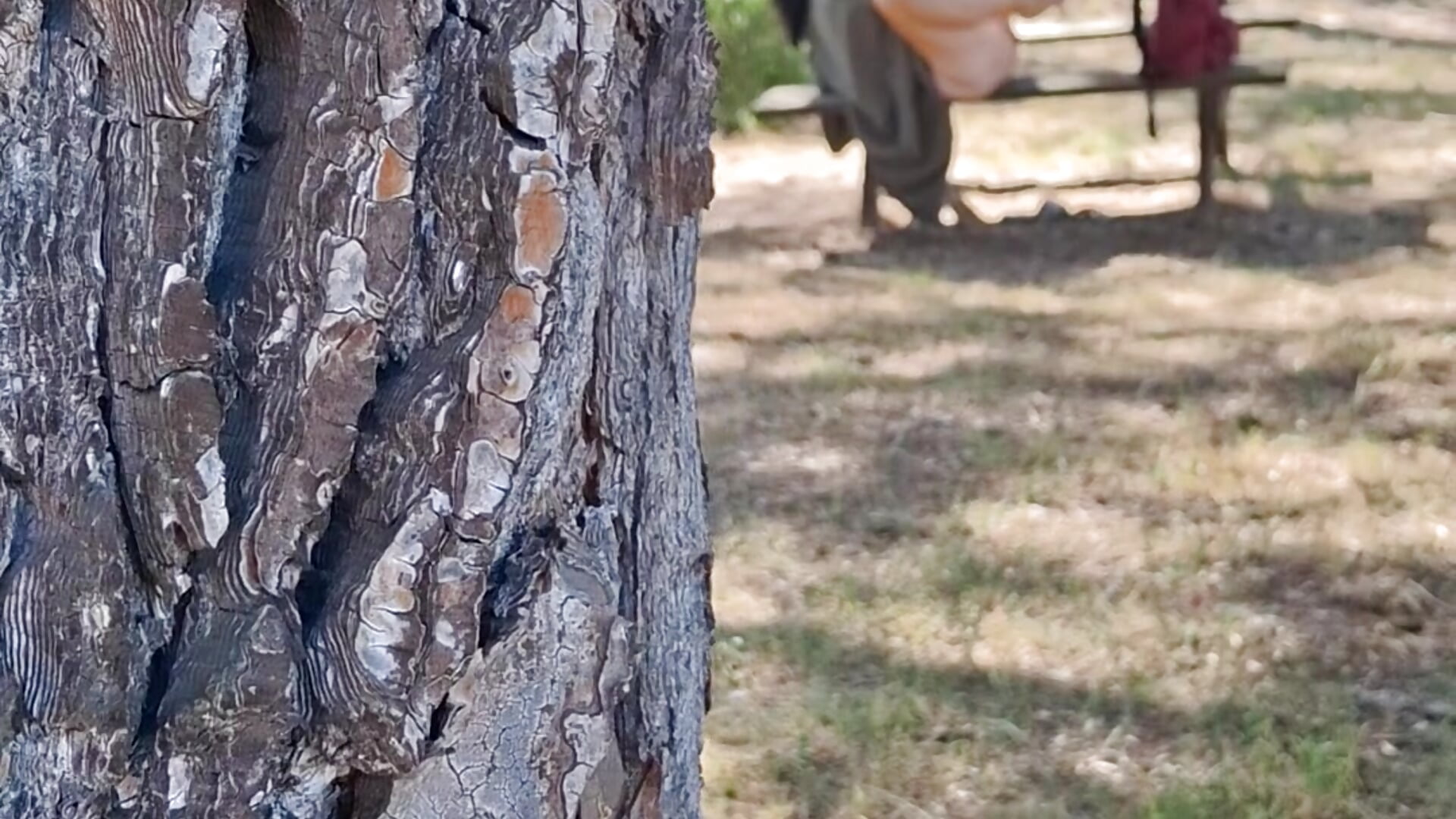 Derrière le pin - video di caro252 modella di cam