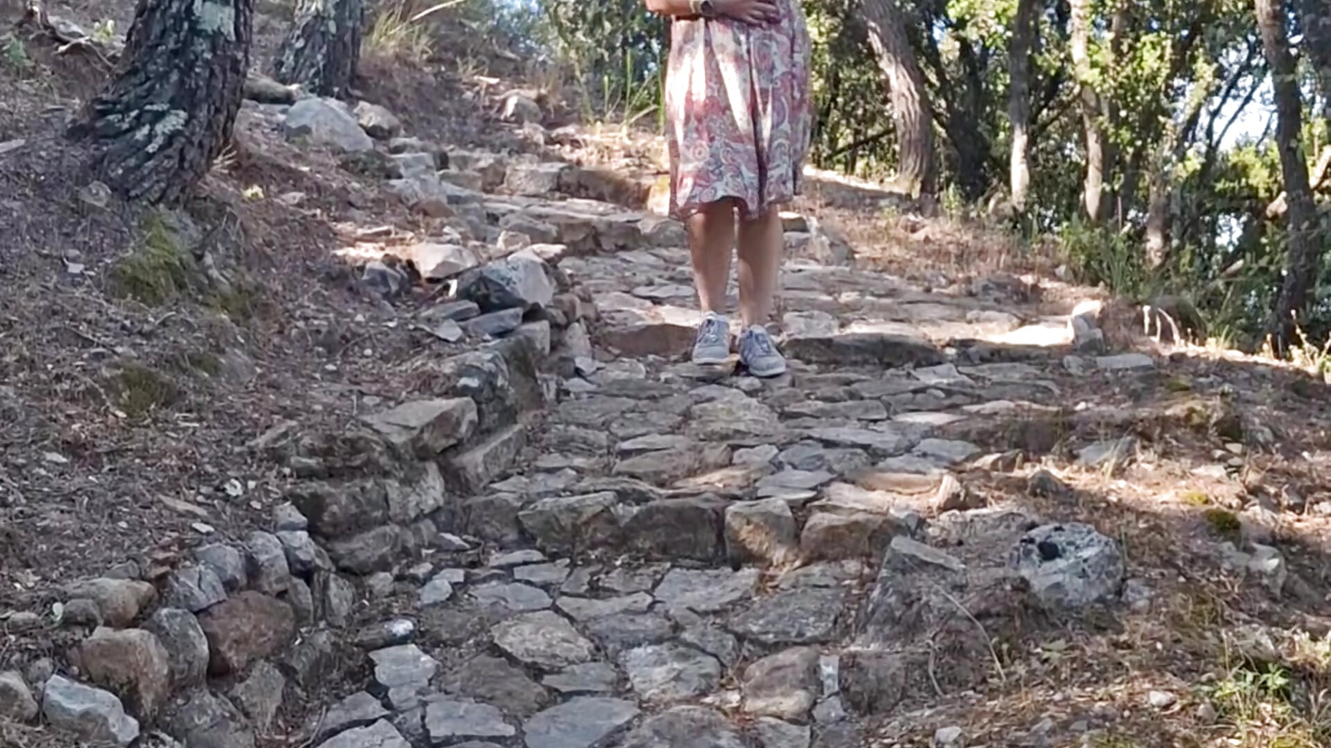 Chemin médiéval