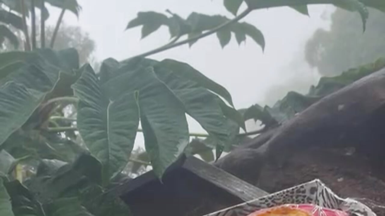 Feel the Vibe - vidéo du modèle de showcams Dimitri_Bass