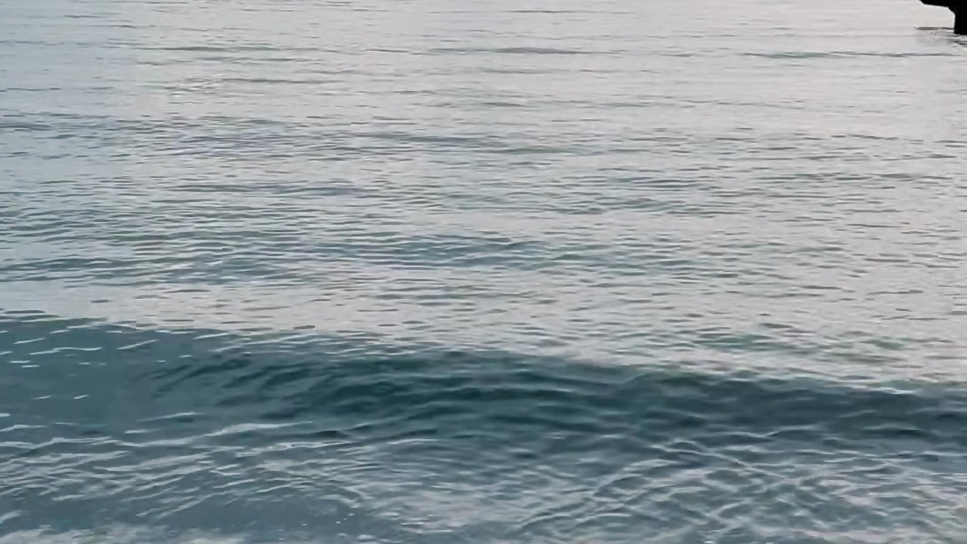 IMG_6257 - video by Anzu_xx cam model