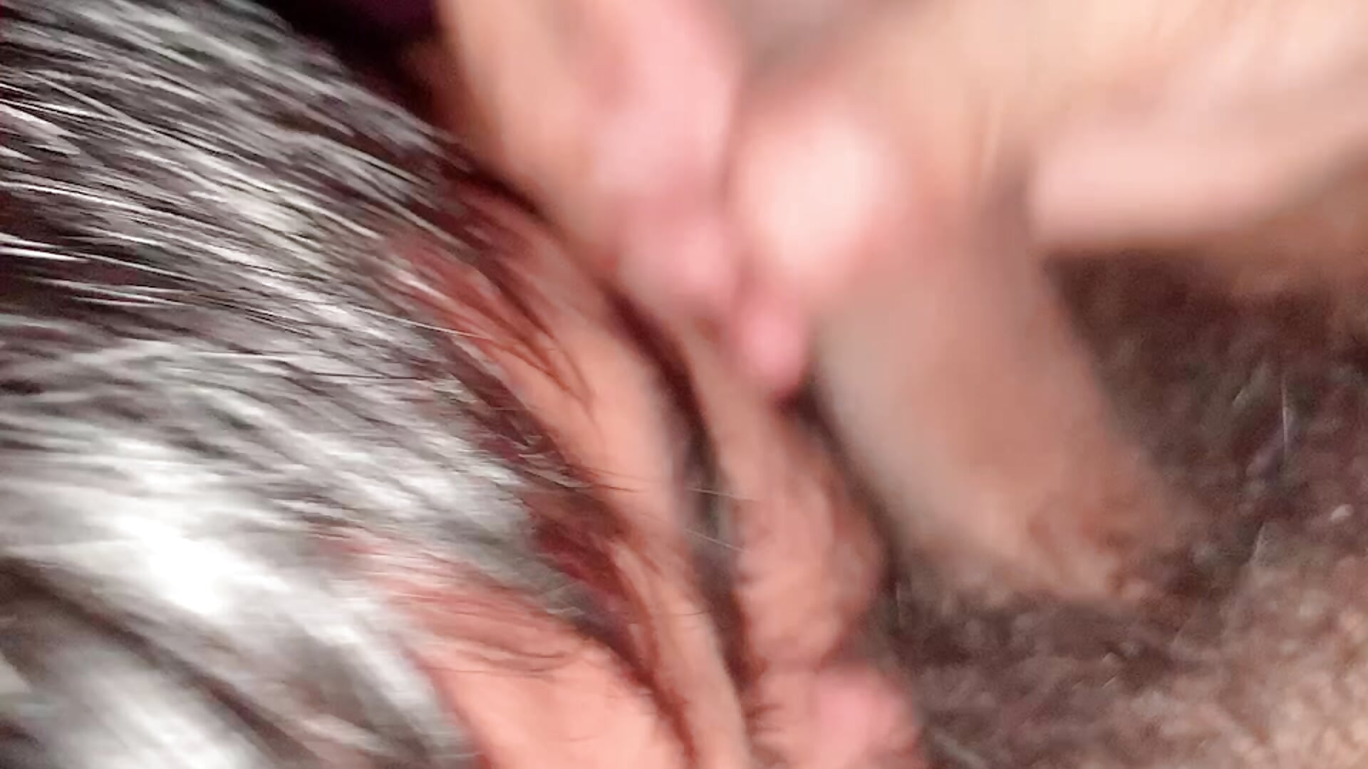 Straight Man Licking My Balls Till I CUM 🤤 - video by Seductive_Trans1 cam model