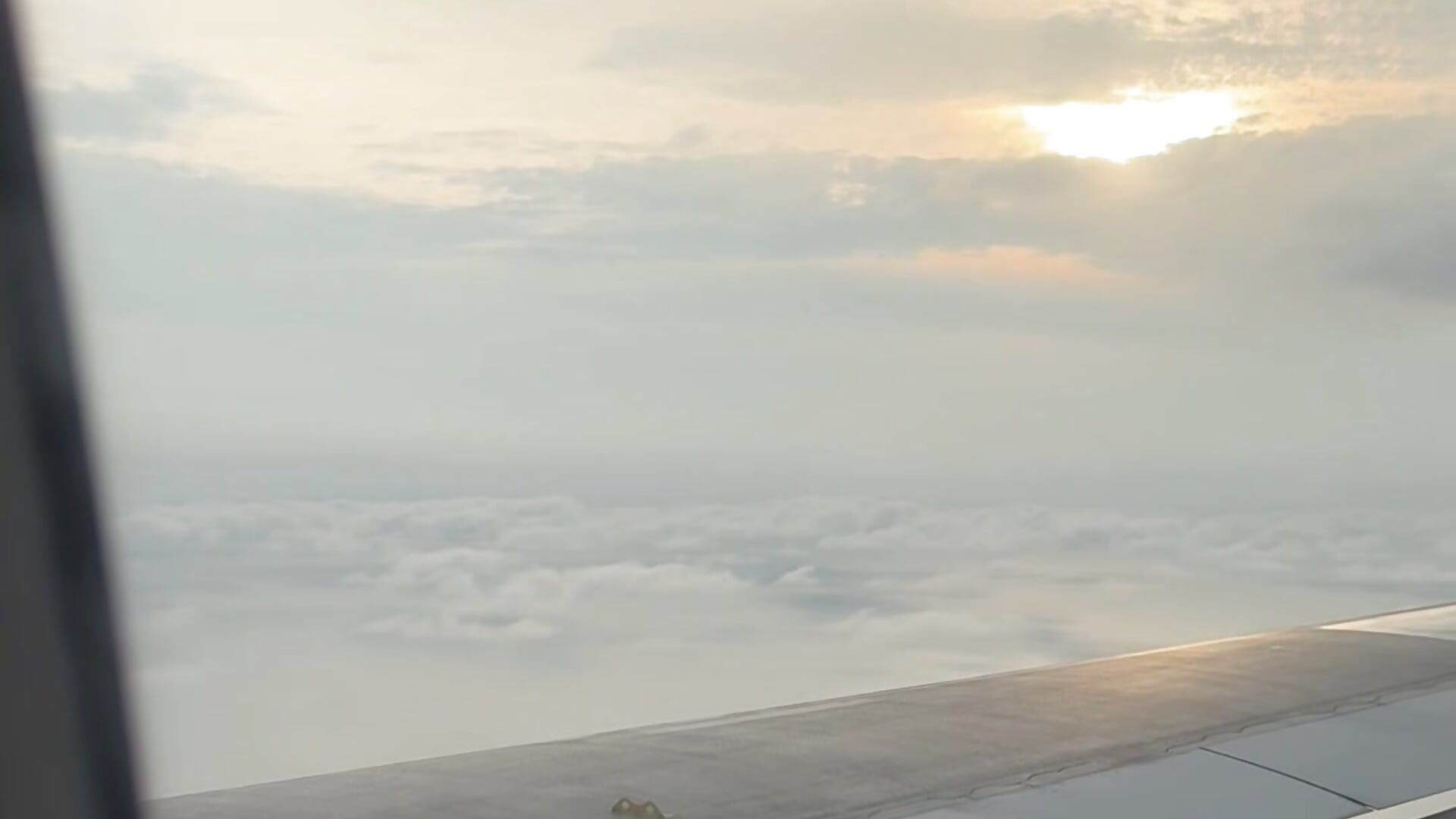 🌊🌊🌊🌊🌊 - video by Nikii__ cam model