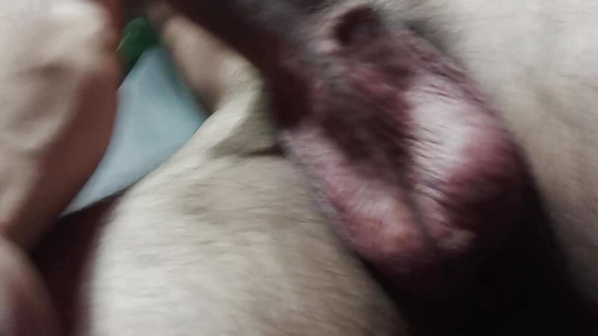 O JeguitoBR chegou! - video by jeguitoBR cam model