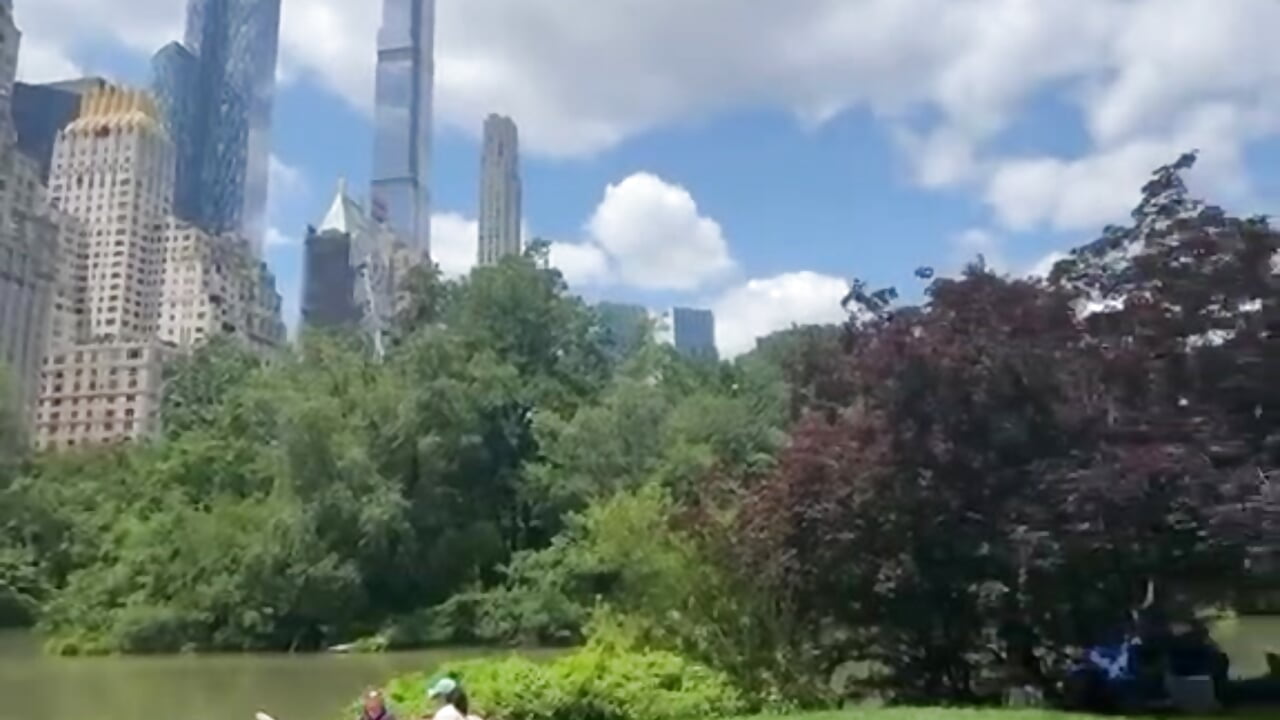 central park, NYC