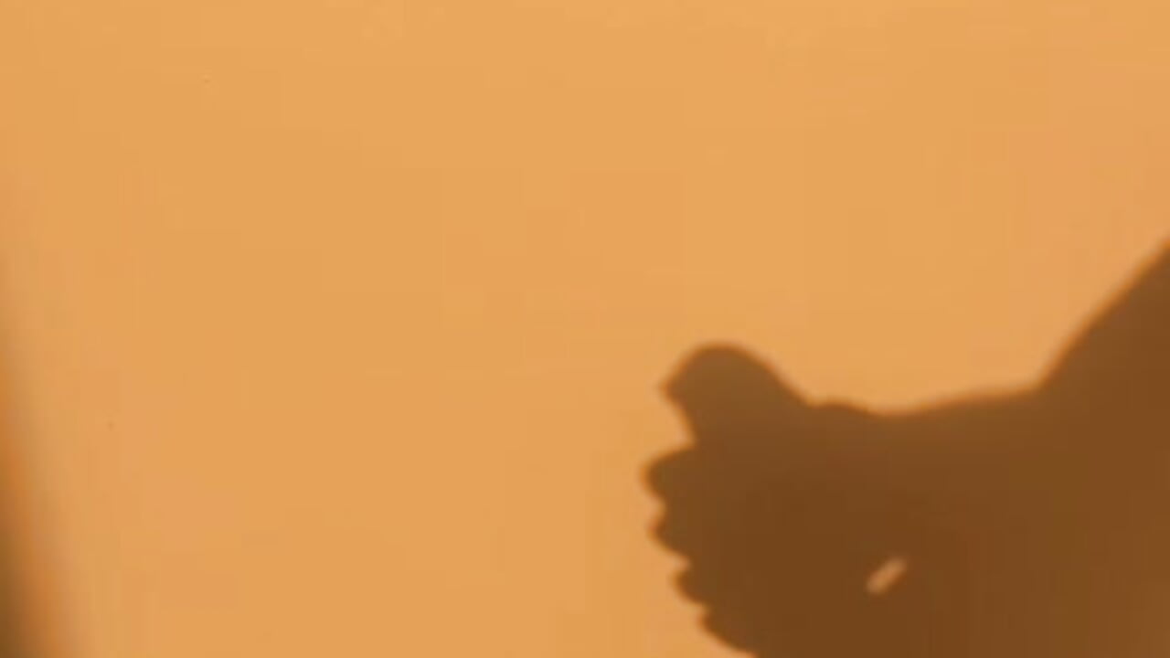 "What you imagine with me... it's just beginning." - vídeo de la modelo de cam Thiagoferreti