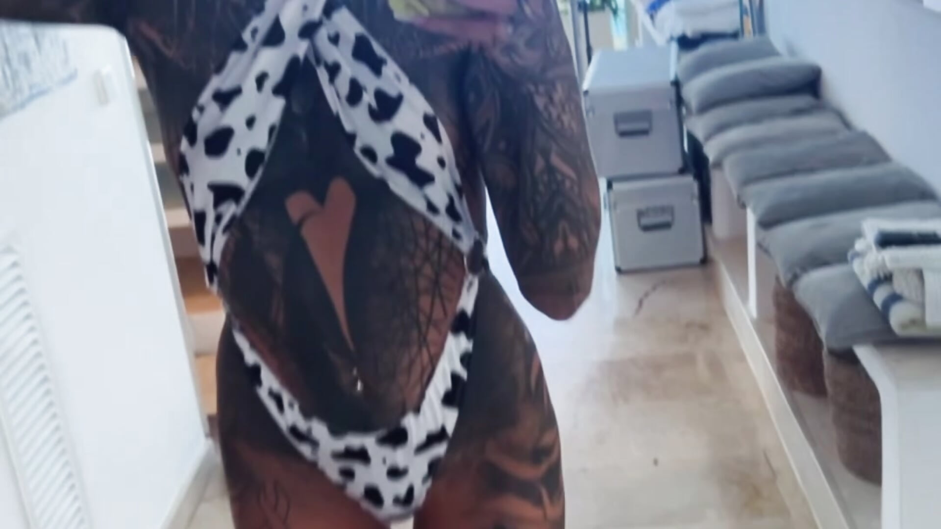 🐮🐄 - video by HotMelonskiii cam model