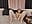5 finger pussy stretch - video by HazelHavoc cam model