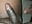 BigMeat_ - JezOne555 的视频