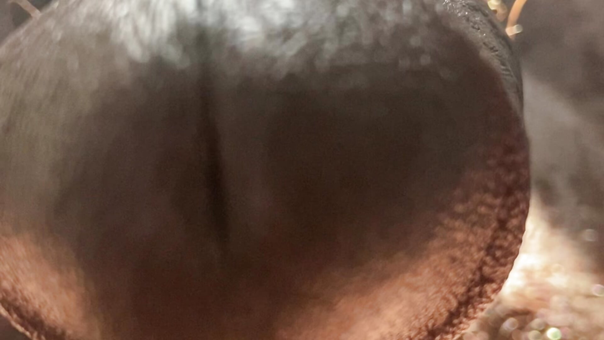 Say Hello _ - JezOne555主播的视频