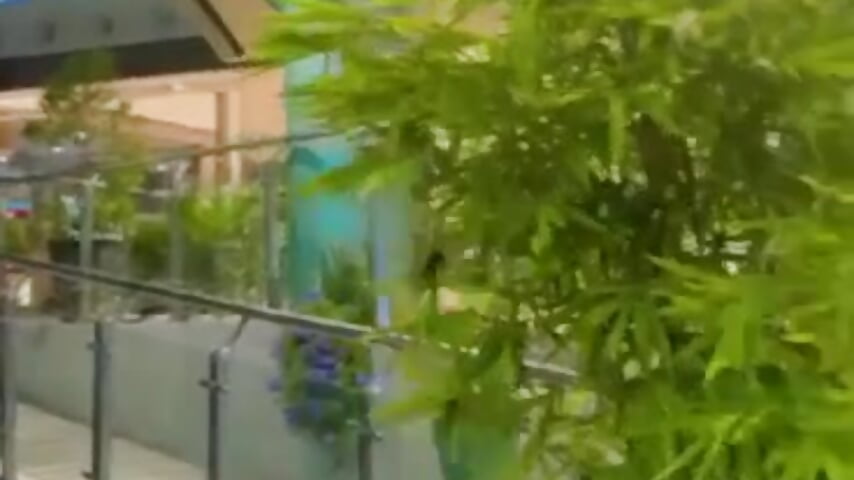 402887352_6787263888048352_4646842287022571997_n – video od webkamerové modelky Sweet_Andrea22