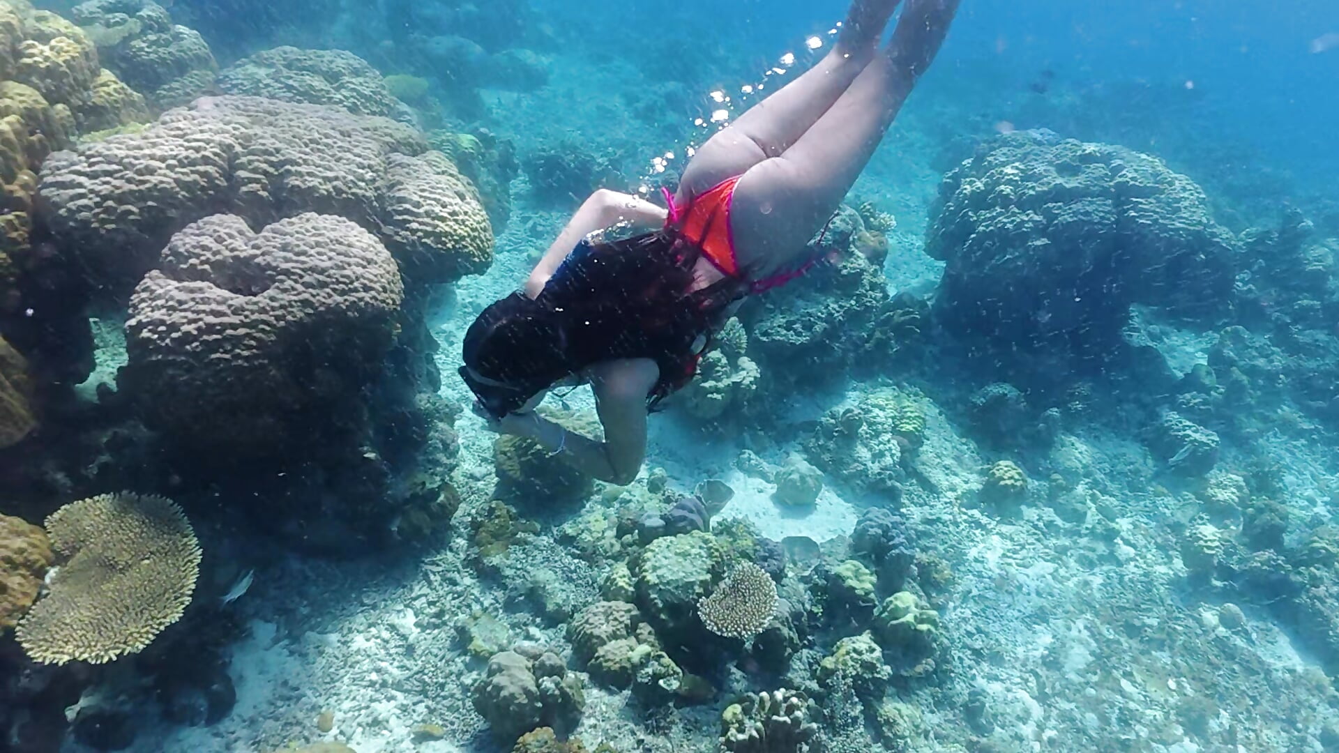 Free dive - video oleh Ms_Monica kamera model