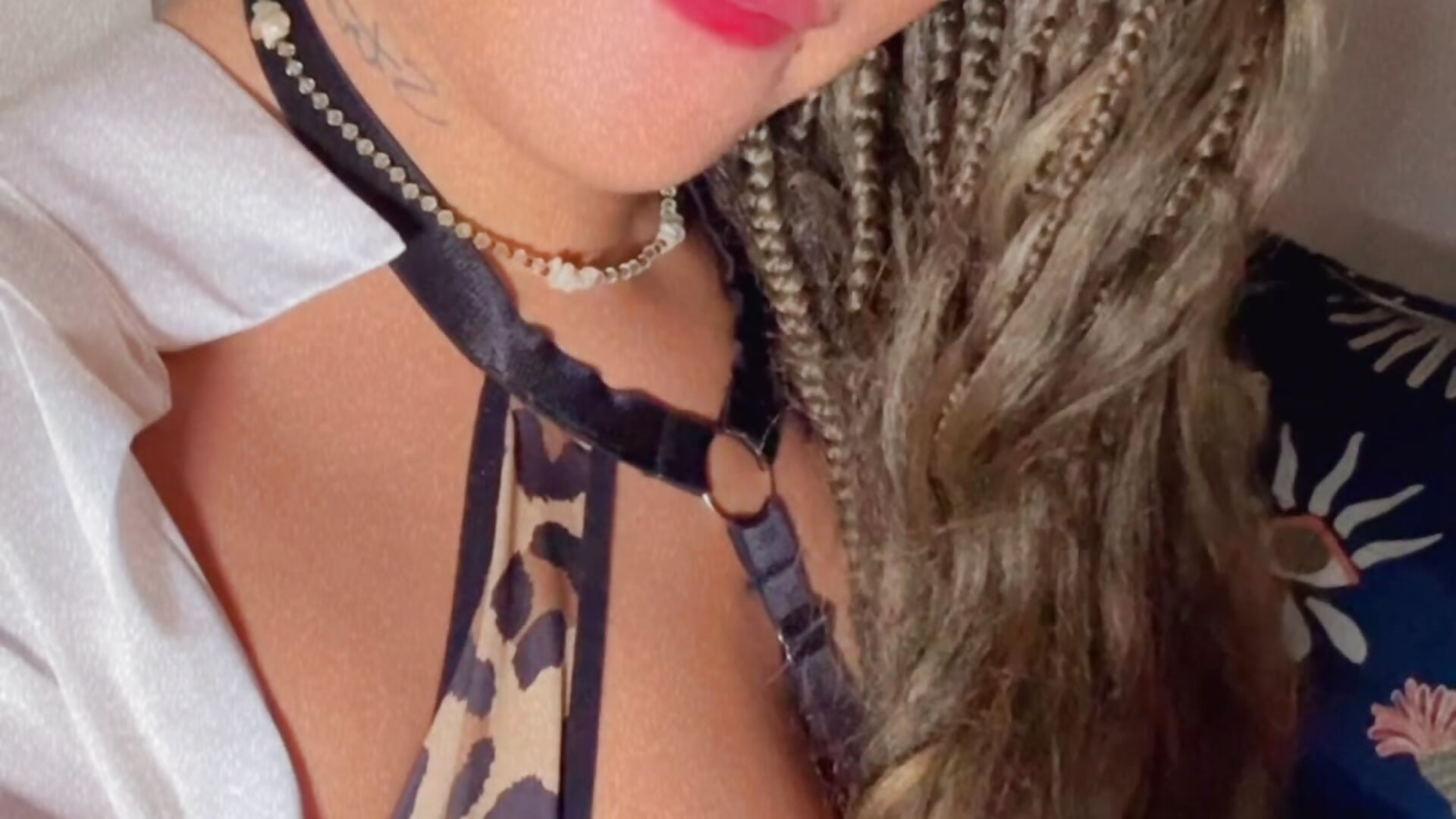 🐆