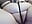 7262c8db-4dbb-4200-8d9c-2f19f8facf34-1_all_1880 - video by emberlynnix cam model