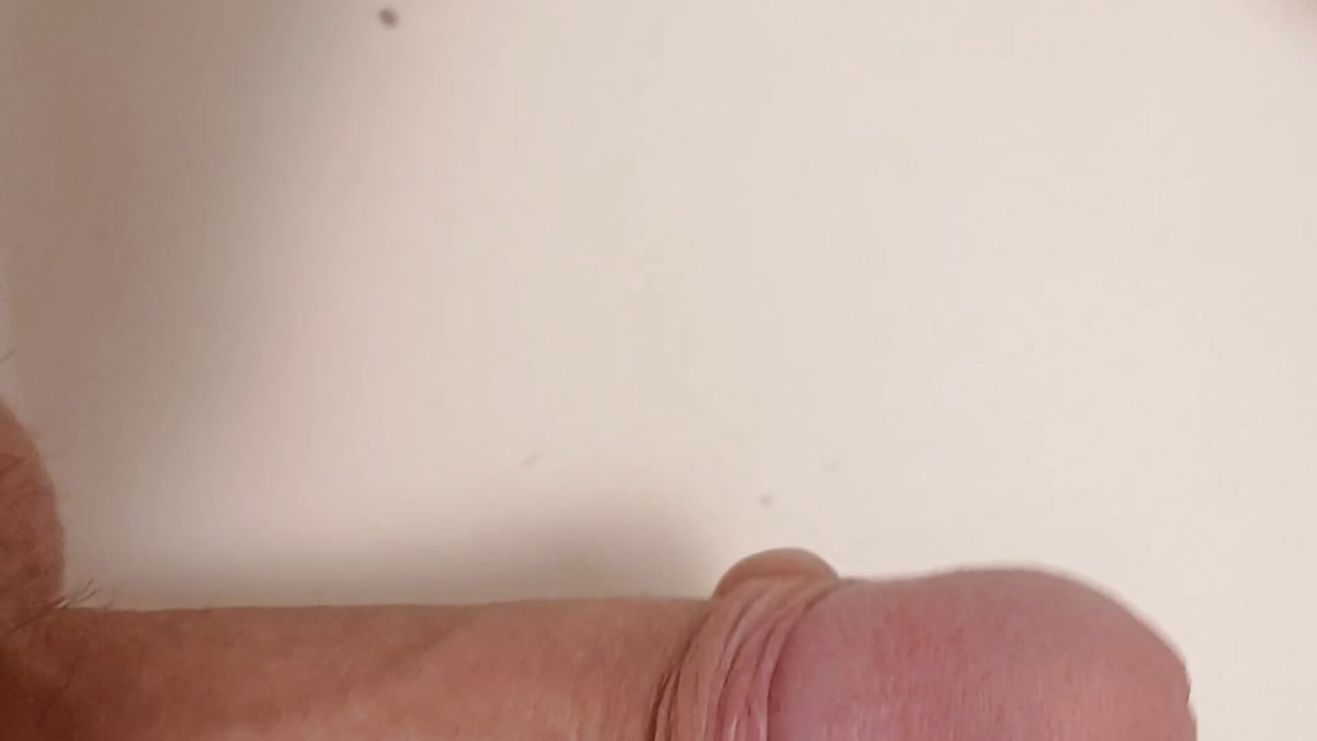 1000040966 - video của người mẫu cam monellisimo