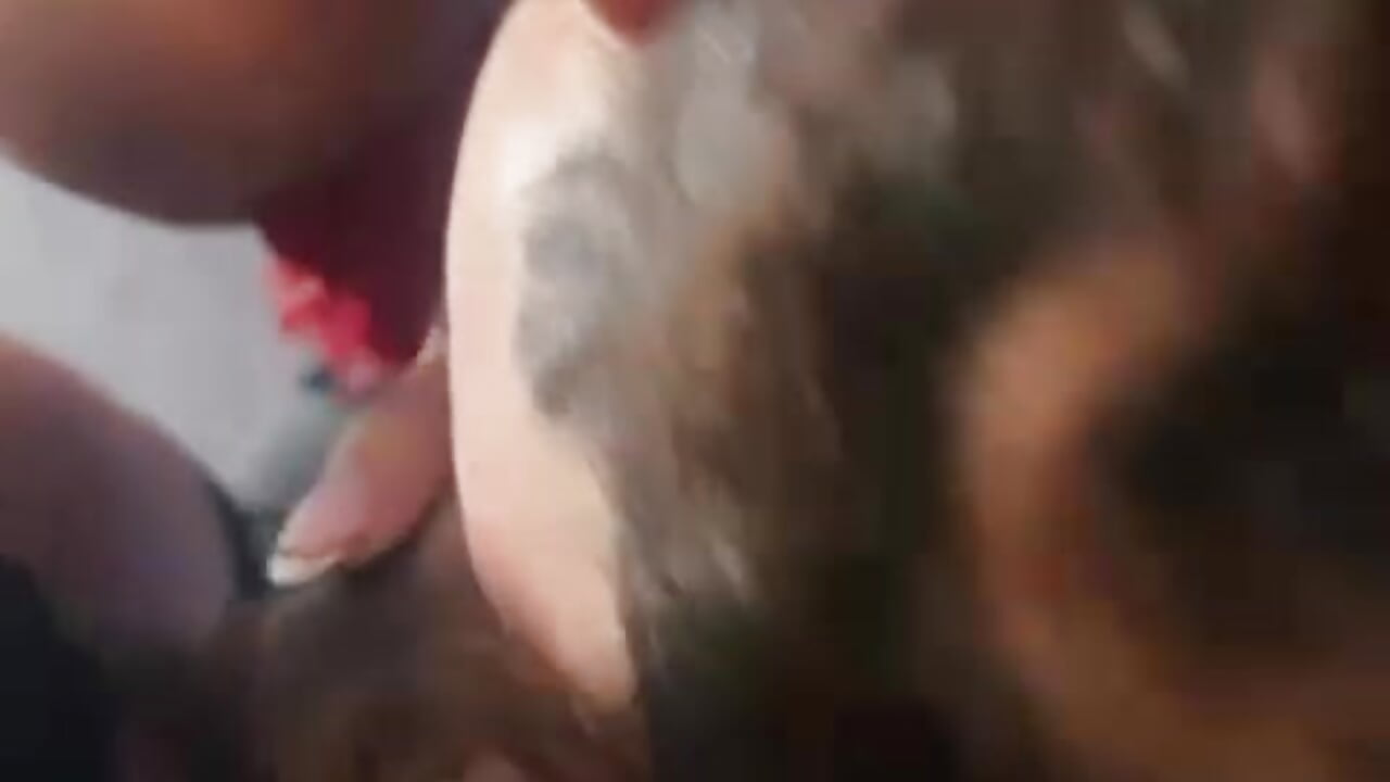 2 GILS + 1 FEMBOY , SUCK , FUCK NO MERCY+ 3 CUMS SHOT - vídeo de la modelo de cam thiara_veky